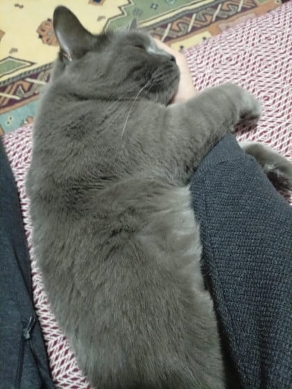 kullanıcı tarafından yüklenmiş görsel