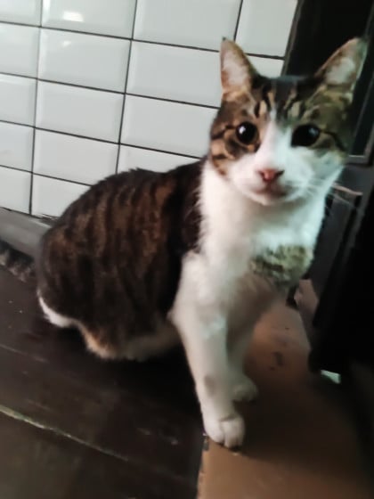 kullanıcı tarafından yüklenmiş görsel