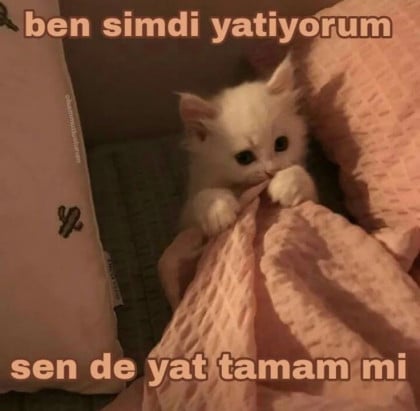 kullanıcı tarafından yüklenmiş görsel