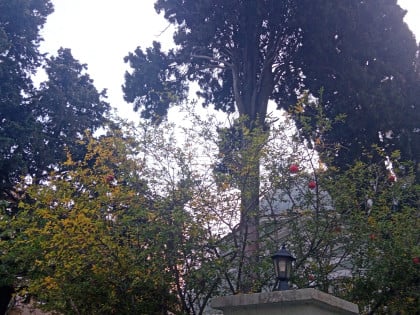 kullanıcı tarafından yüklenmiş görsel