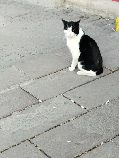 kullanıcı tarafından yüklenmiş görsel