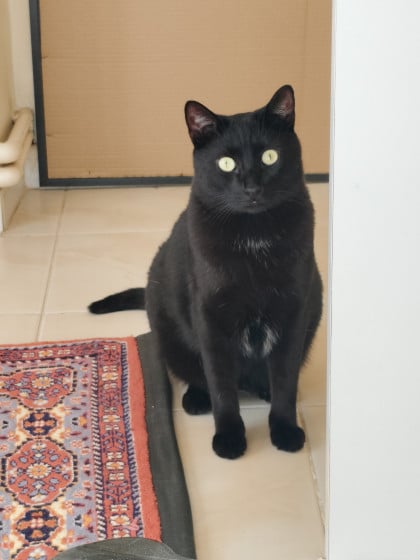 kullanıcı tarafından yüklenmiş görsel