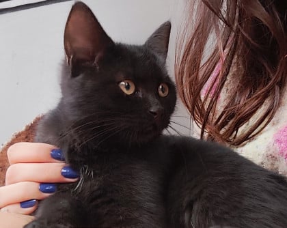 kullanıcı tarafından yüklenmiş görsel