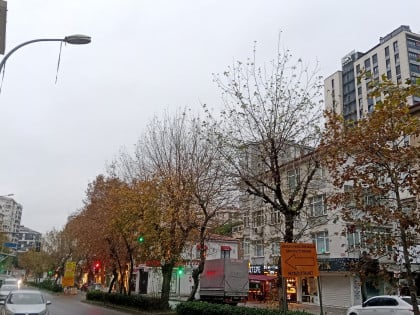 kullanıcı tarafından yüklenmiş görsel