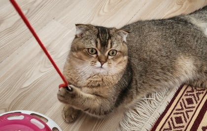 kullanıcı tarafından yüklenmiş görsel