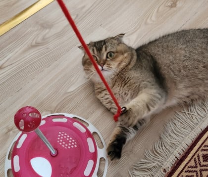 kullanıcı tarafından yüklenmiş görsel