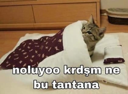 kullanıcı tarafından yüklenmiş görsel