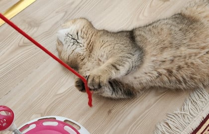 kullanıcı tarafından yüklenmiş görsel