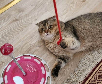 kullanıcı tarafından yüklenmiş görsel