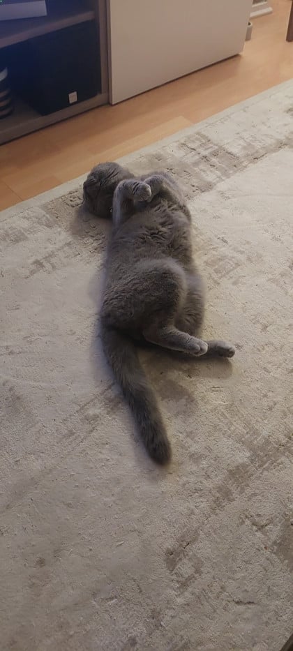 kullanıcı tarafından yüklenmiş görsel