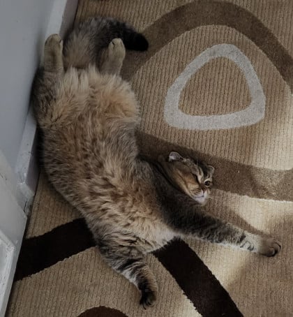 kullanıcı tarafından yüklenmiş görsel