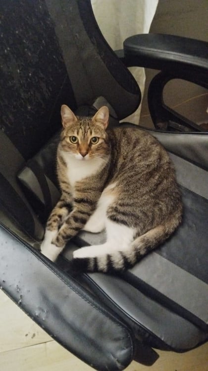 kullanıcı tarafından yüklenmiş görsel