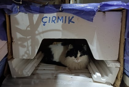 kullanıcı tarafından yüklenmiş görsel