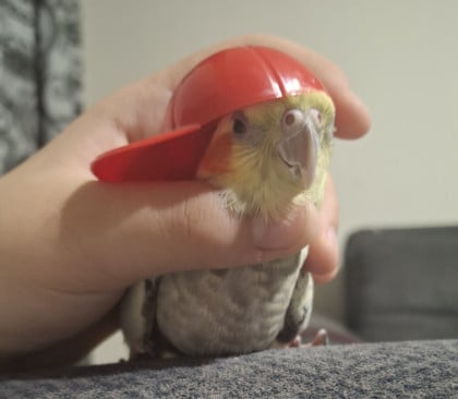 kullanıcı tarafından yüklenmiş görsel