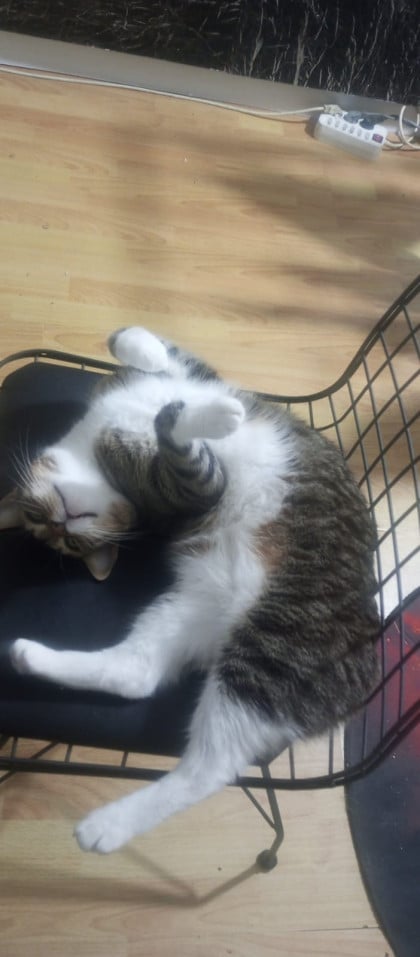 kullanıcı tarafından yüklenmiş görsel