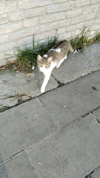 kullanıcı tarafından yüklenmiş görsel