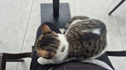 kullanıcı tarafından yüklenmiş görsel