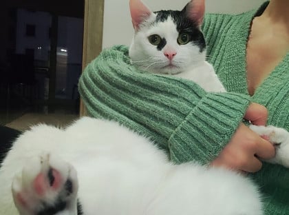 kullanıcı tarafından yüklenmiş görsel