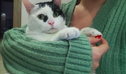 kullanıcı tarafından yüklenmiş görsel