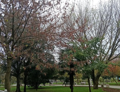 kullanıcı tarafından yüklenmiş görsel