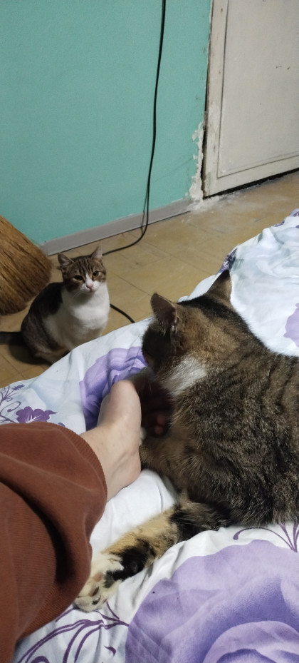 kullanıcı tarafından yüklenmiş görsel