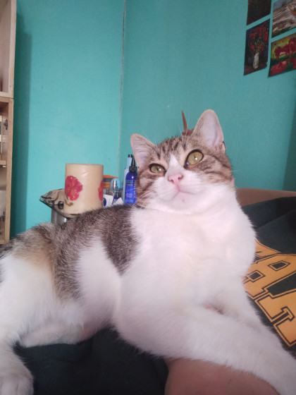 kullanıcı tarafından yüklenmiş görsel