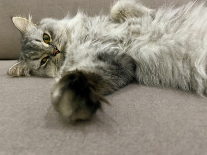 kullanıcı tarafından yüklenmiş görsel