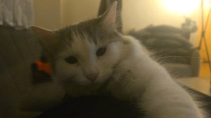 kullanıcı tarafından yüklenmiş görsel