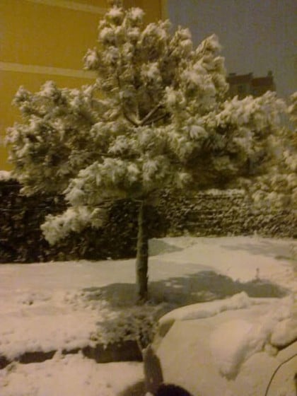 kullanıcı tarafından yüklenmiş görsel