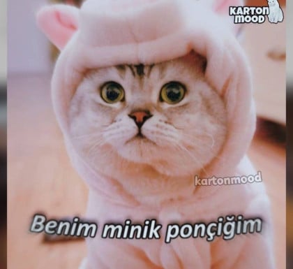 kullanıcı tarafından yüklenmiş görsel