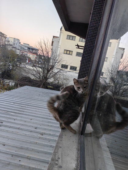 kullanıcı tarafından yüklenmiş görsel