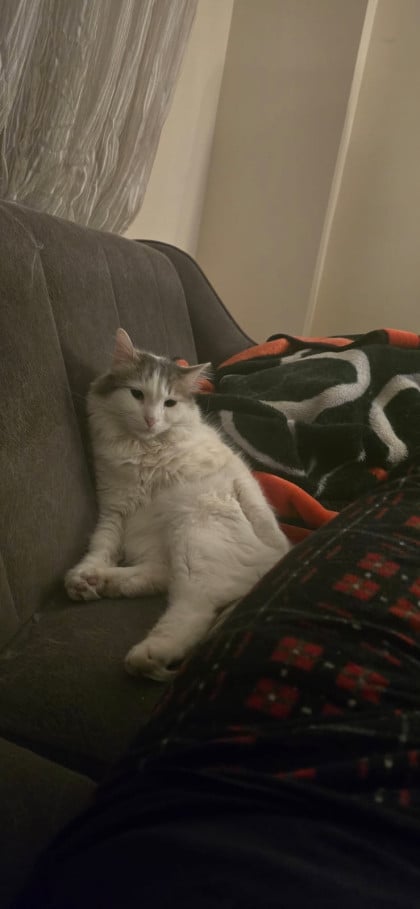 kullanıcı tarafından yüklenmiş görsel