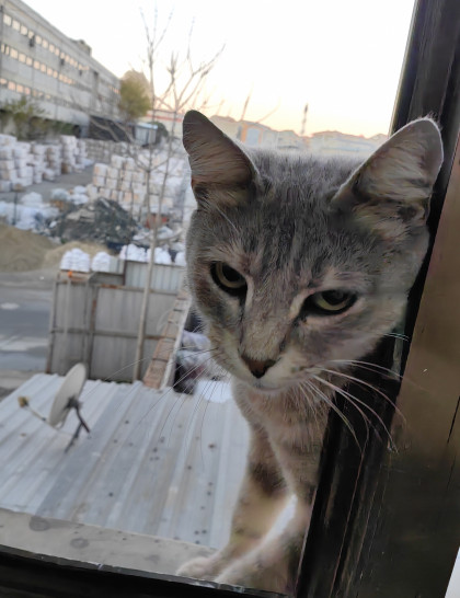 kullanıcı tarafından yüklenmiş görsel