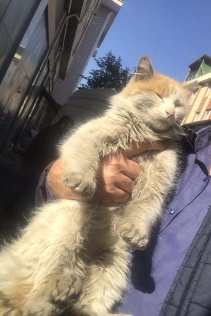 kullanıcı tarafından yüklenmiş görsel