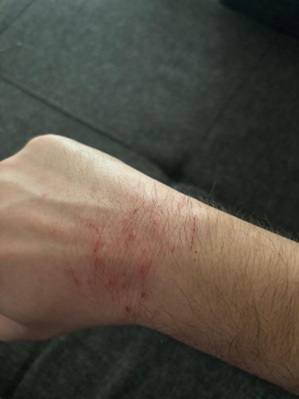 kullanıcı tarafından yüklenmiş görsel