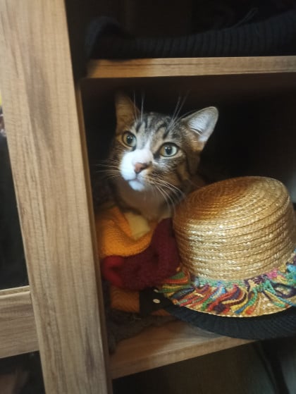 kullanıcı tarafından yüklenmiş görsel