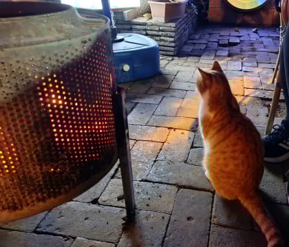 kullanıcı tarafından yüklenmiş görsel