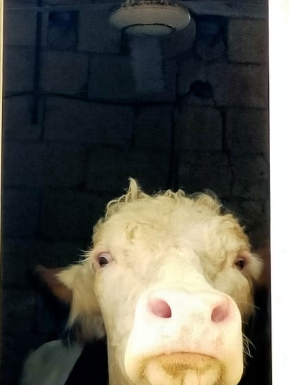 kullanıcı tarafından yüklenmiş görsel