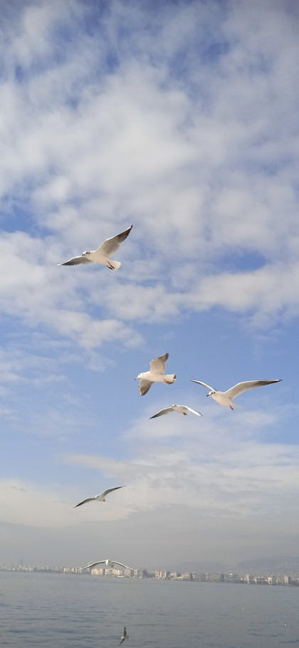 kullanıcı tarafından yüklenmiş görsel