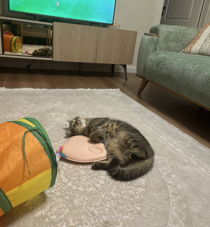 kullanıcı tarafından yüklenmiş görsel