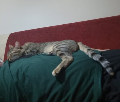 kullanıcı tarafından yüklenmiş görsel