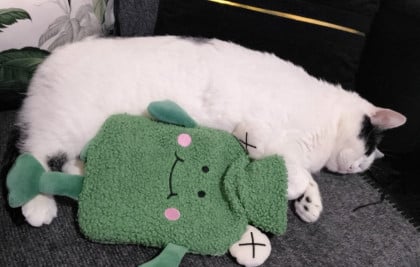 kullanıcı tarafından yüklenmiş görsel