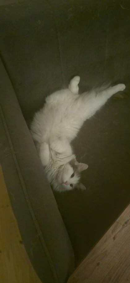 kullanıcı tarafından yüklenmiş görsel