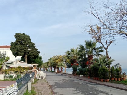 kullanıcı tarafından yüklenmiş görsel