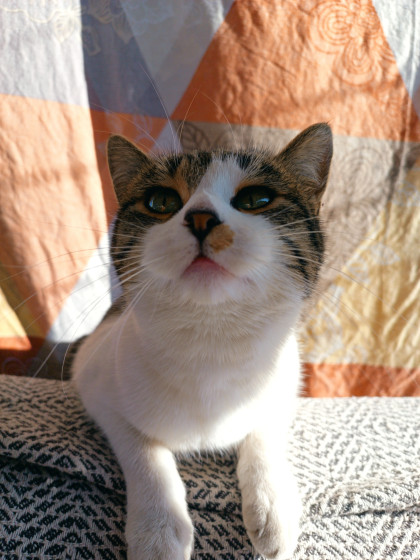 kullanıcı tarafından yüklenmiş görsel