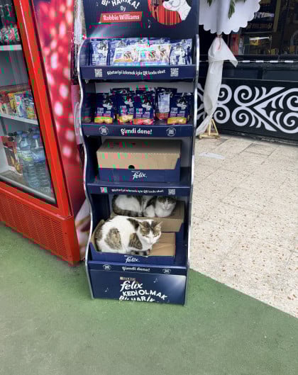 kullanıcı tarafından yüklenmiş görsel