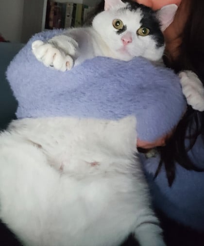 kullanıcı tarafından yüklenmiş görsel