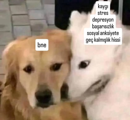 kullanıcı tarafından yüklenmiş görsel