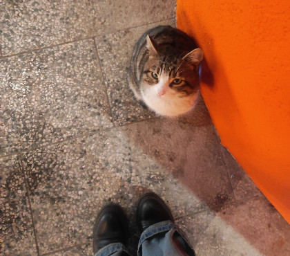 kullanıcı tarafından yüklenmiş görsel