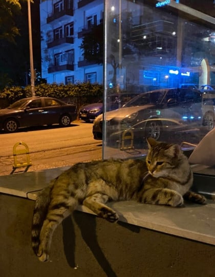 kullanıcı tarafından yüklenmiş görsel